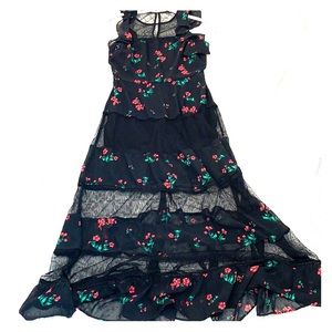 Express Women’s Dress